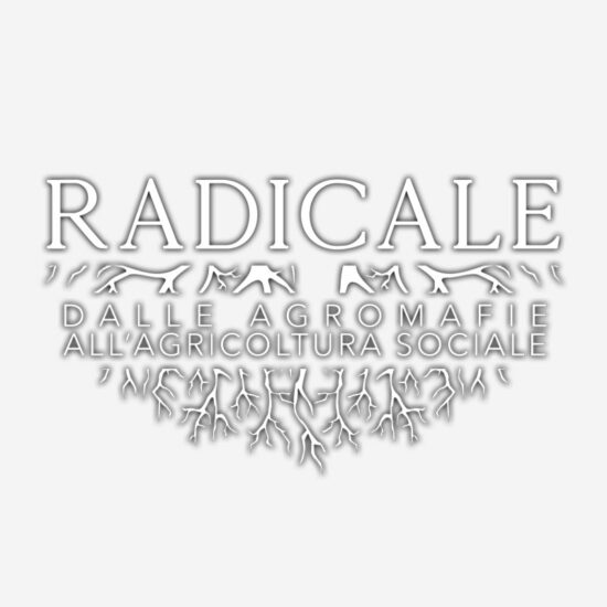 Scuola radcale