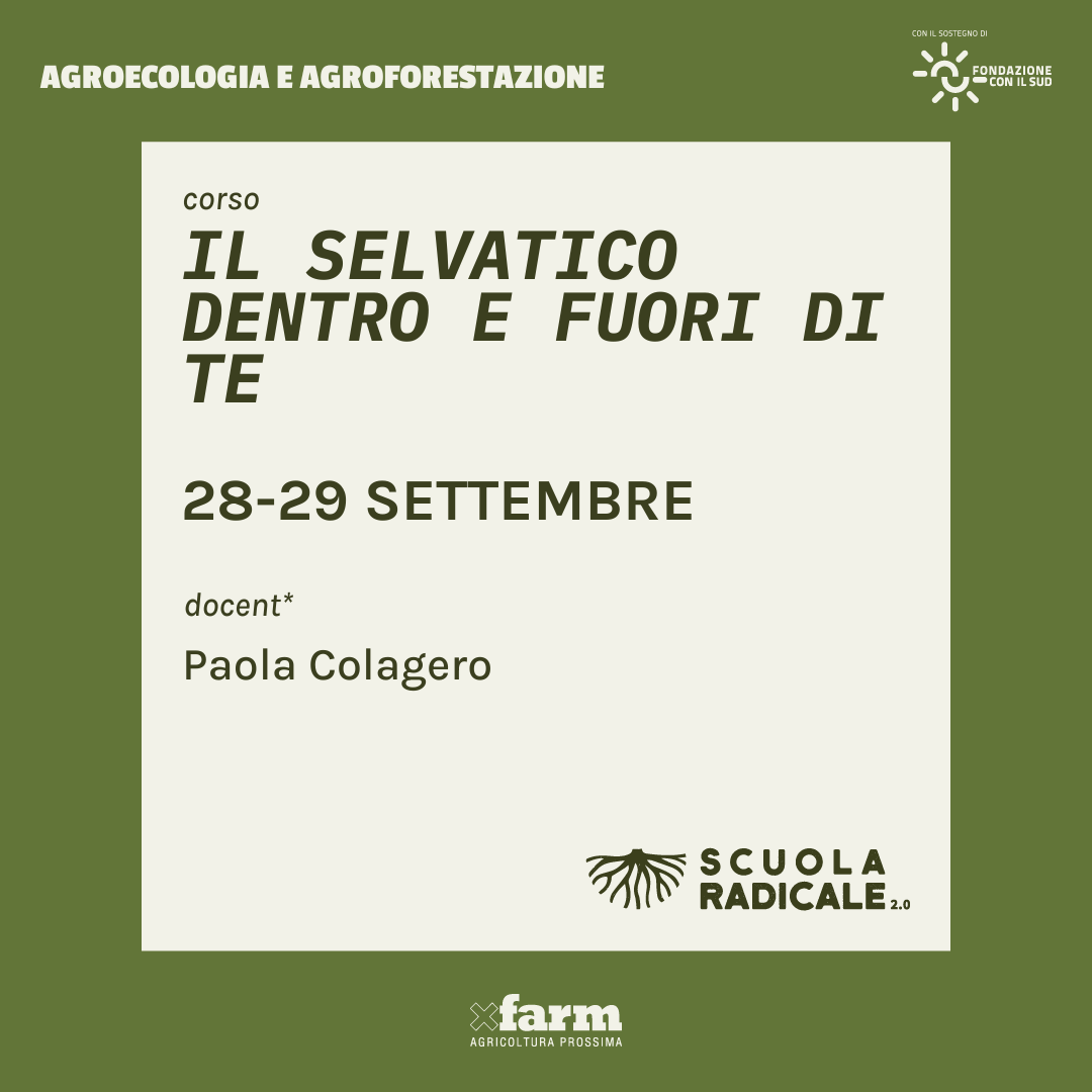 Corso di ecologia profonda